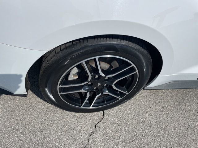 Used 2021 Ford Mustang Premium image 17