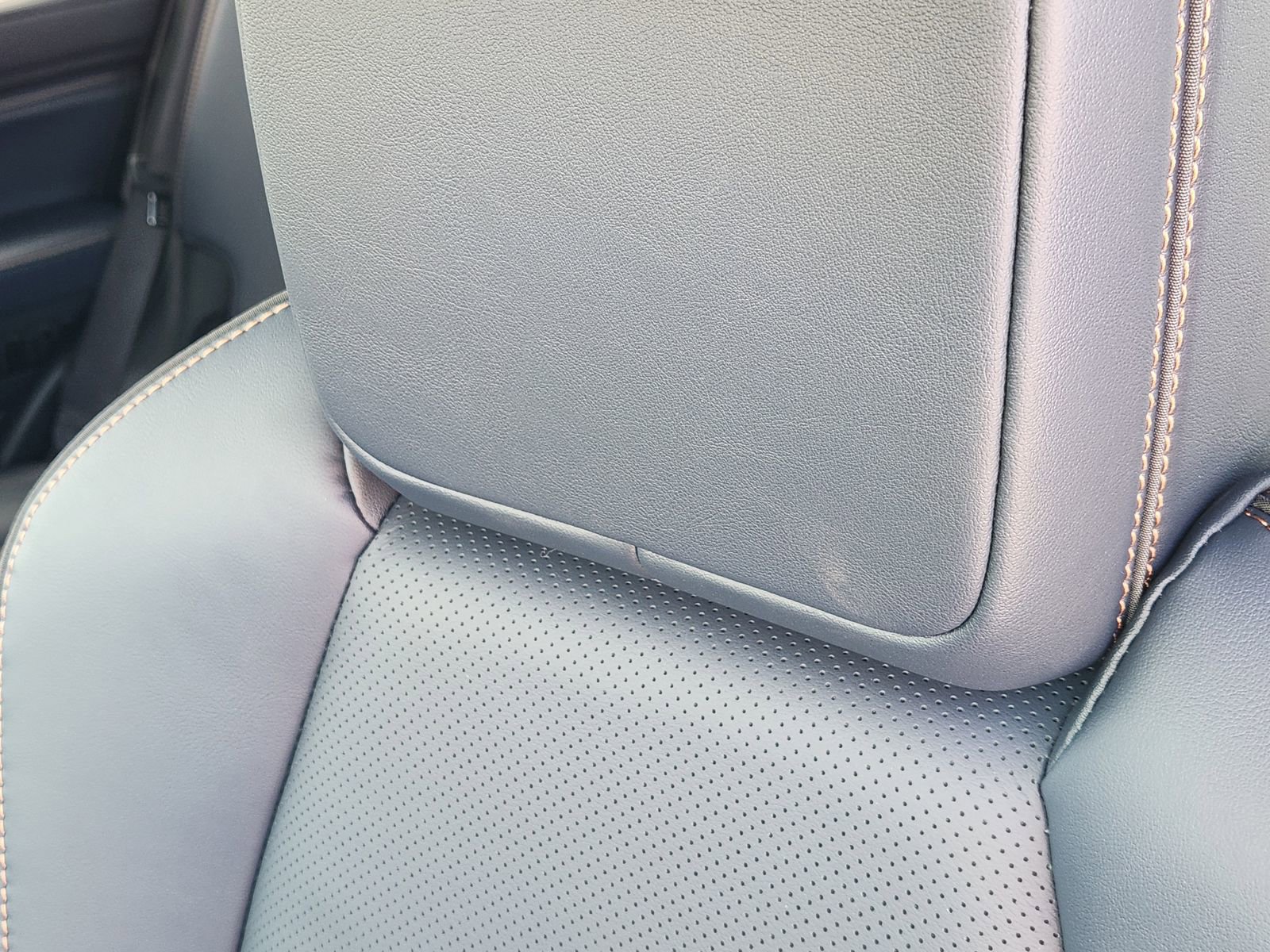 New 2026 Toyota 4Runner Platinum image 16