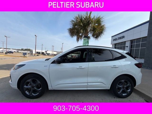 Used 2024 Ford Escape ST-Line w/ Tech Pack #1 image 5