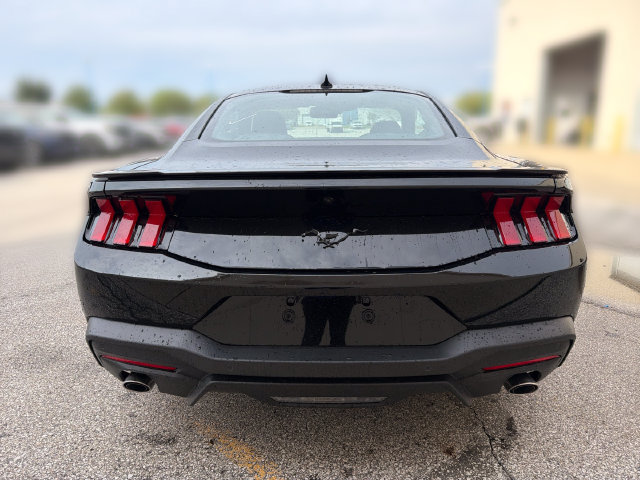 New 2026 Ford Mustang Coupe w/ Mustang Nite Pony Package RWD image 6