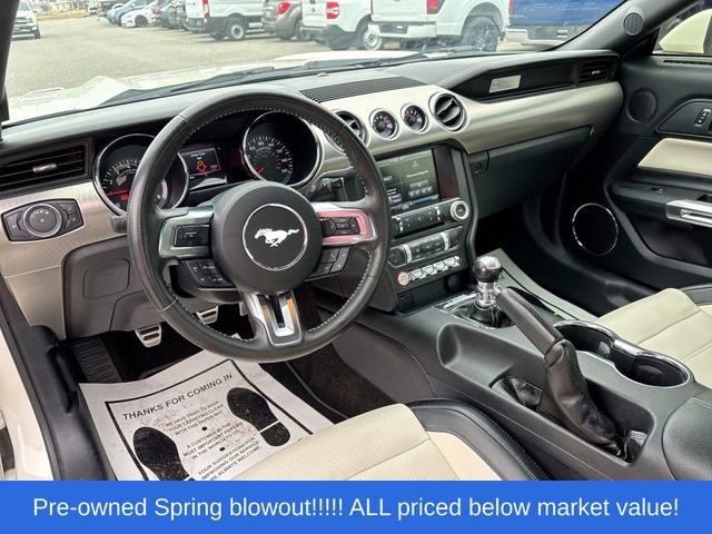 Used 2015 Ford Mustang 50 Years RWD image 21