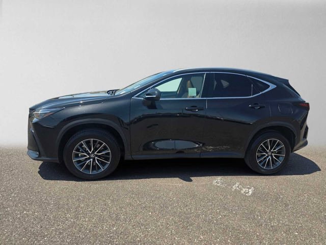 Certified 2026 Lexus NX 350 AWD image 6