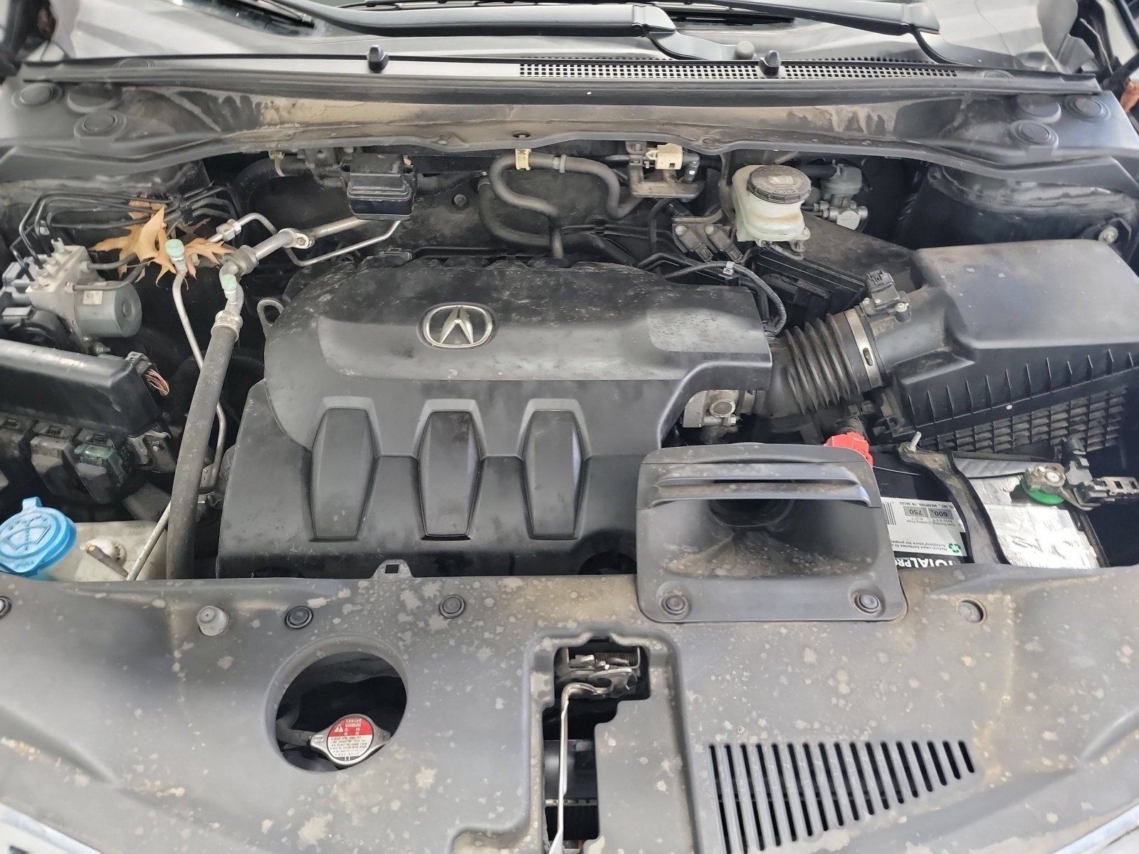 Used 2016 Acura RDX FWD image 25