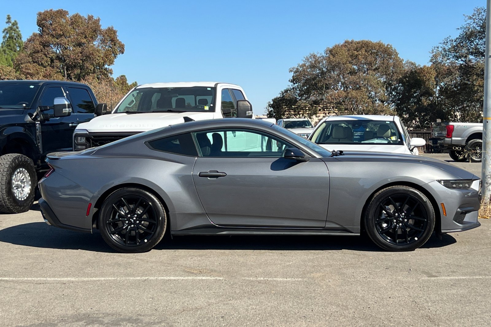 Used 2026 Ford Mustang Coupe w/ Mustang Nite Pony Package RWD image 3