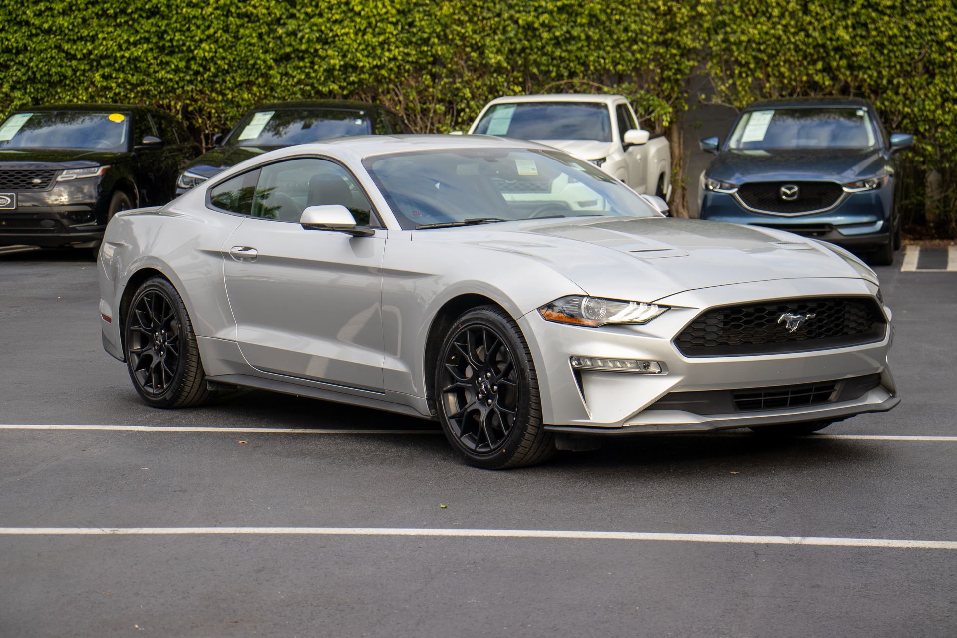 Used 2019 Ford Mustang Premium w/ Ecoboost Performance Package image 3