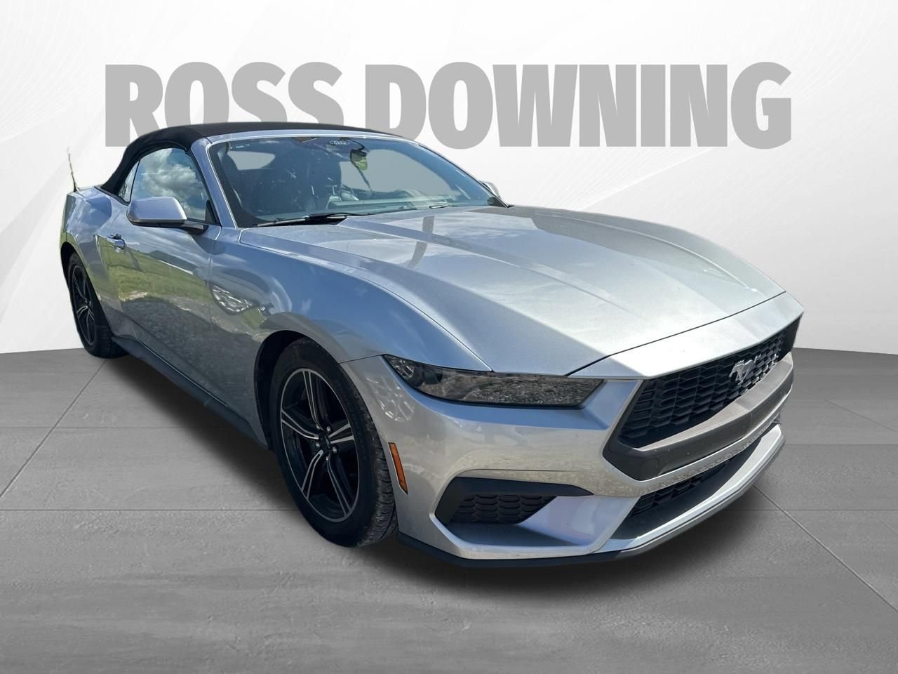 Used 2025 Ford Mustang Premium RWD image 3