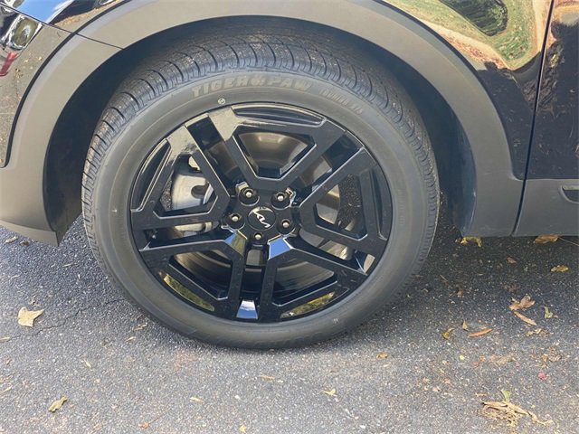 Used 2024 Kia Telluride SX Prestige X-Line image 6