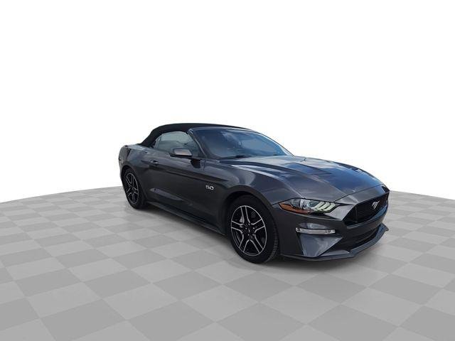 Used 2019 Ford Mustang GT Premium w/ Equipment Group 401A RWD image 2