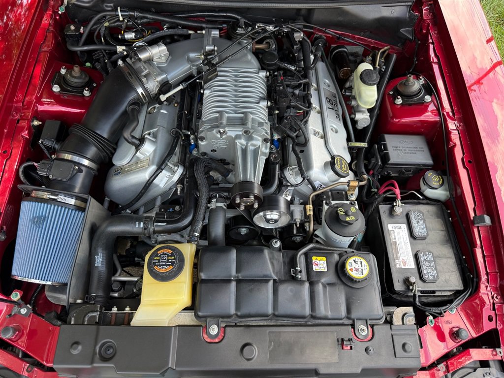 Used 2004 Ford Mustang Cobra RWD image 66