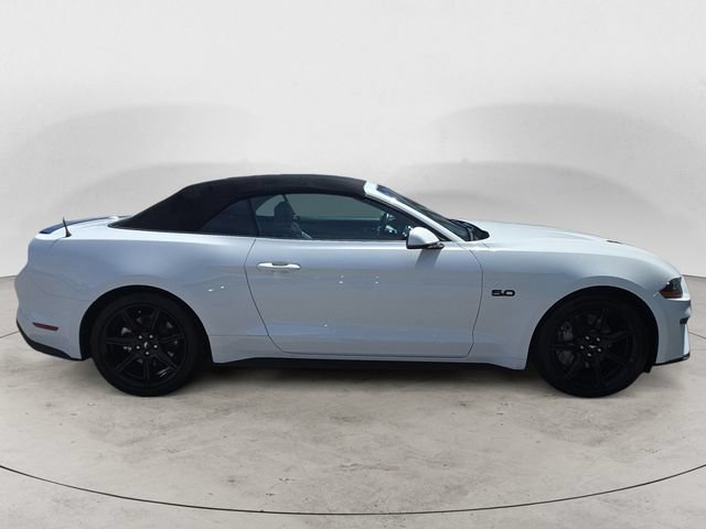 Used 2018 Ford Mustang GT Premium w/ Equipment Group 401A RWD image 6