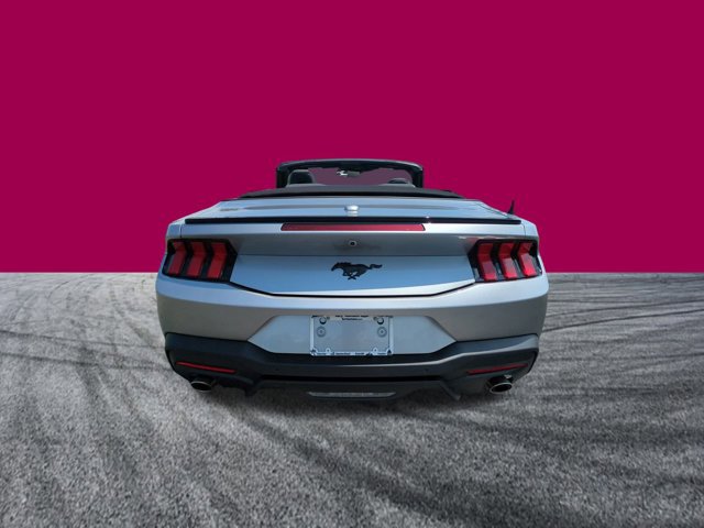 New 2025 Ford Mustang Convertible w/ Mustang Nite Pony Package image 5