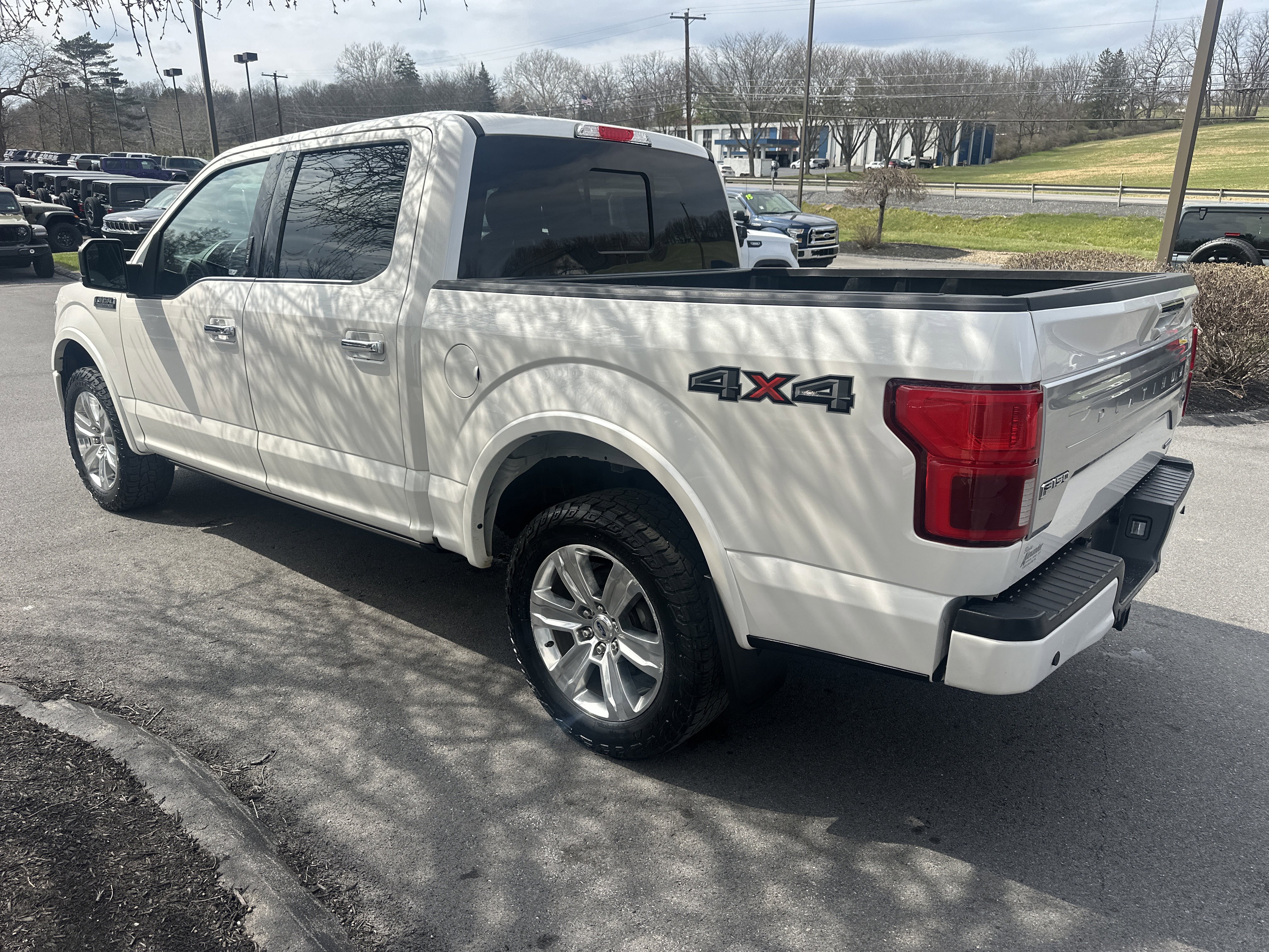 Used 2019 Ford F150 Platinum image 6