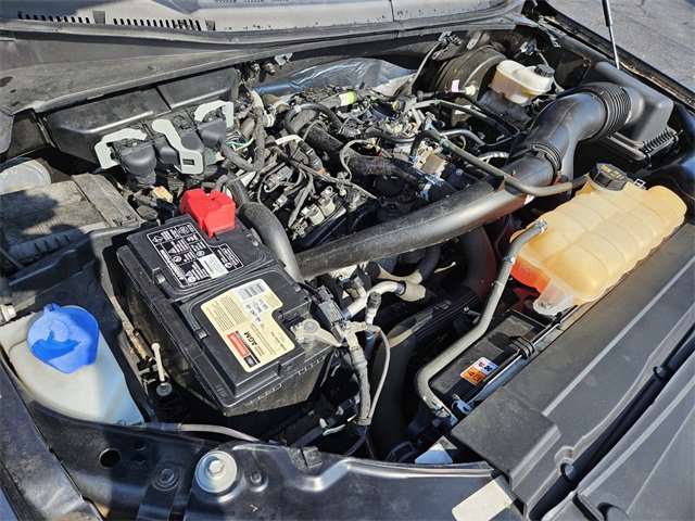 Used 2019 Ford F150 XLT w/ Equipment Group 302A Luxury image 18