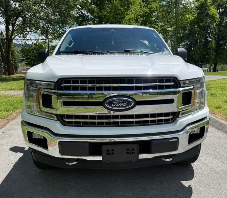 Used 2019 Ford F150 XLT w/ Equipment Group 302A Luxury AWD/4WD image 2
