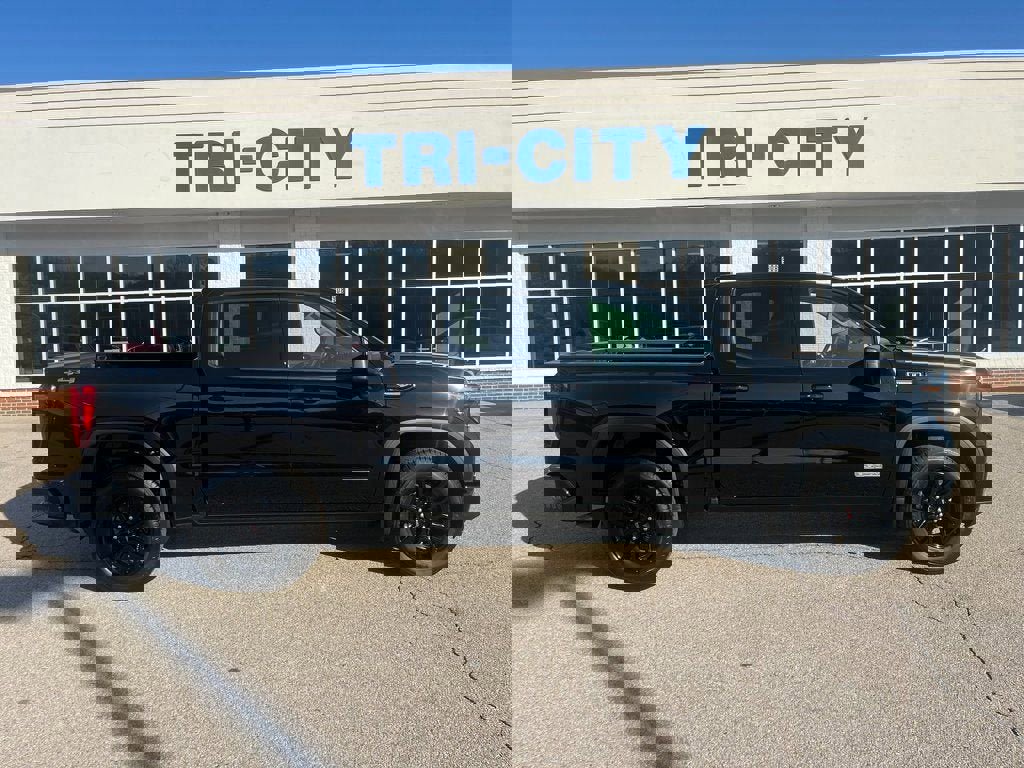 New 2025 GMC Sierra 1500 Elevation image 2