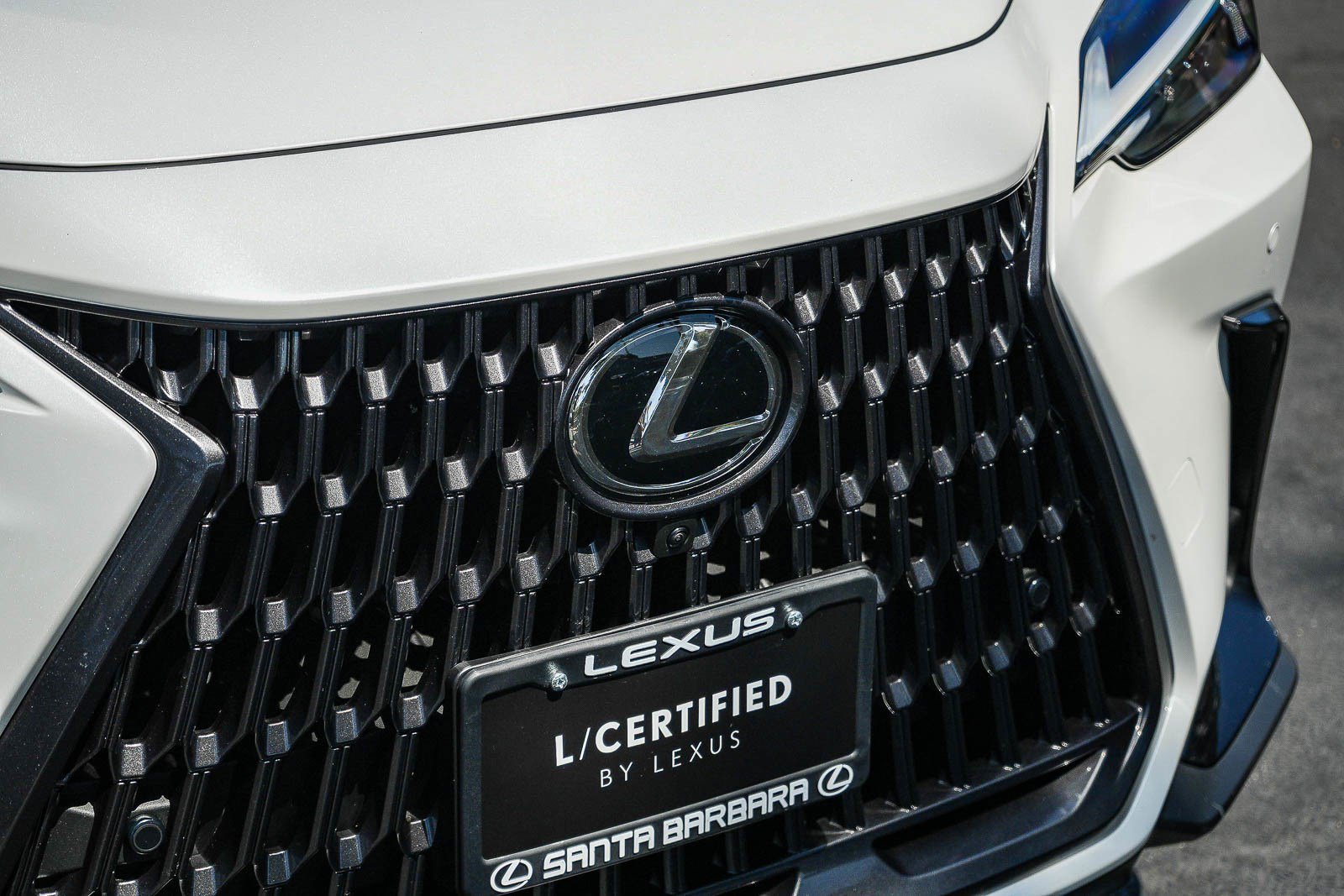 Certified 2025 Lexus NX 350h AWD w/ Cold Area Package image 9
