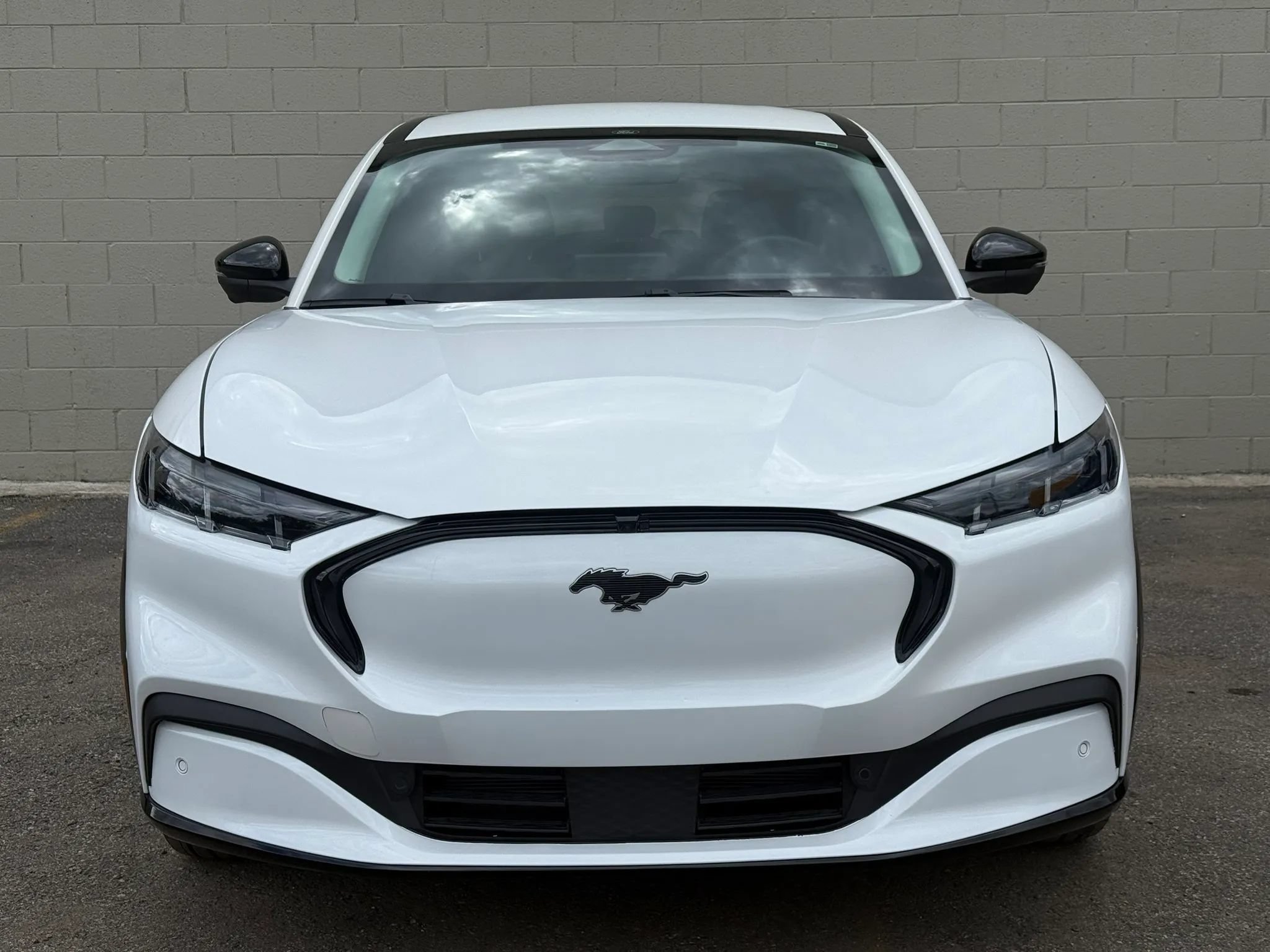 Used 2024 Ford Mustang Mach-E Premium AWD/4WD image 15