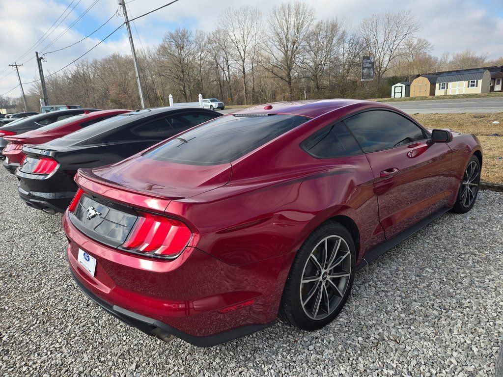 Used 2019 Ford Mustang EcoBoost w/ Equipment Group 101A image 4