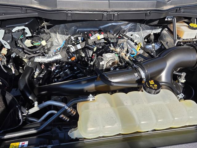 Used 2024 Ford F150 STX w/ STX Black Appearance Package image 15