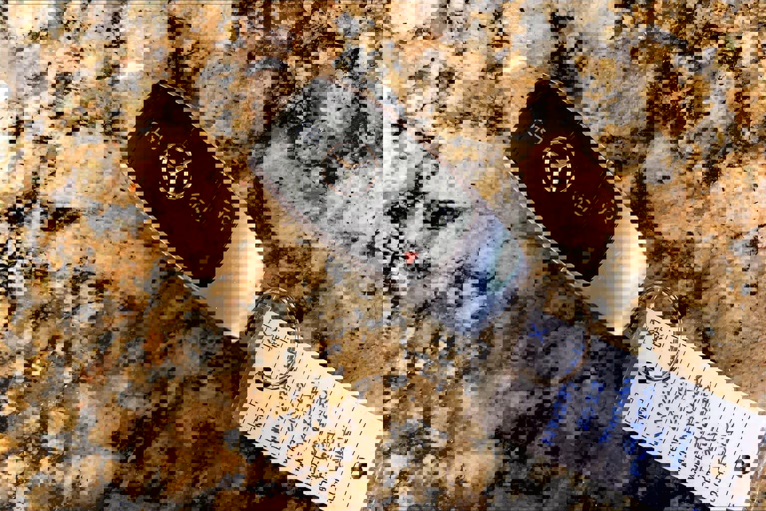 Used 2022 Mercedes-Benz GLB 250 w/ Premium Package Lite image 13