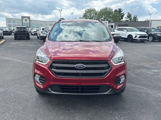 Used 2019 Ford Escape SEL AWD/4WD image 2