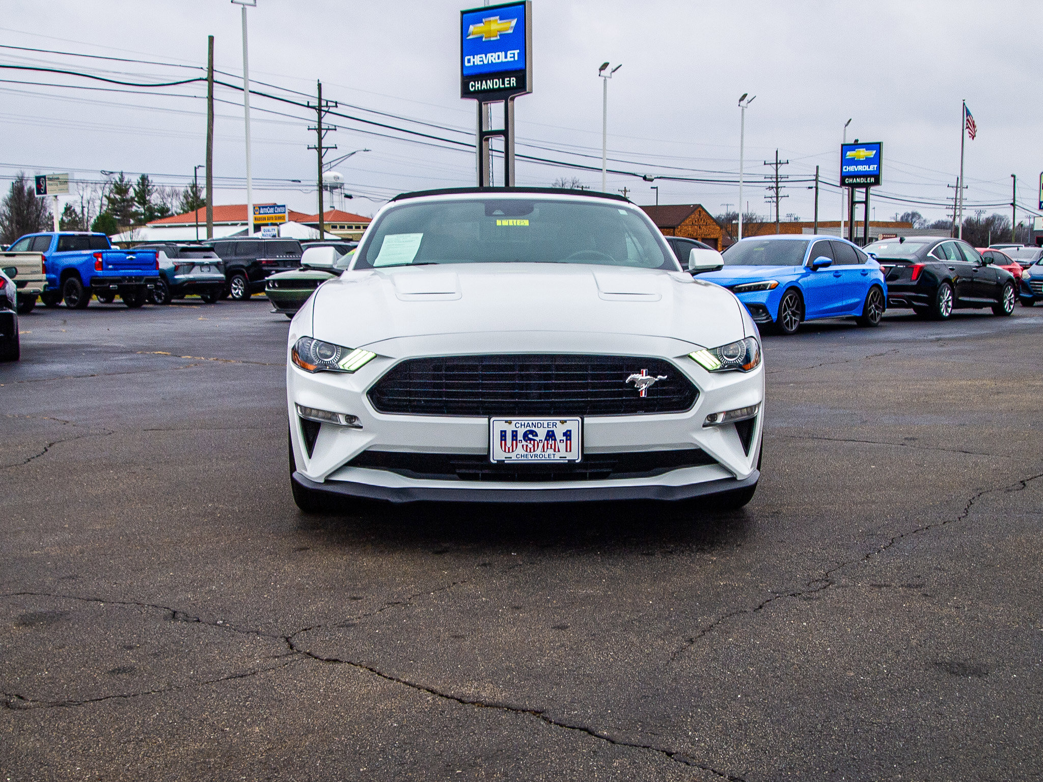 Used 2019 Ford Mustang GT Premium w/ Equipment Group 401A RWD image 2