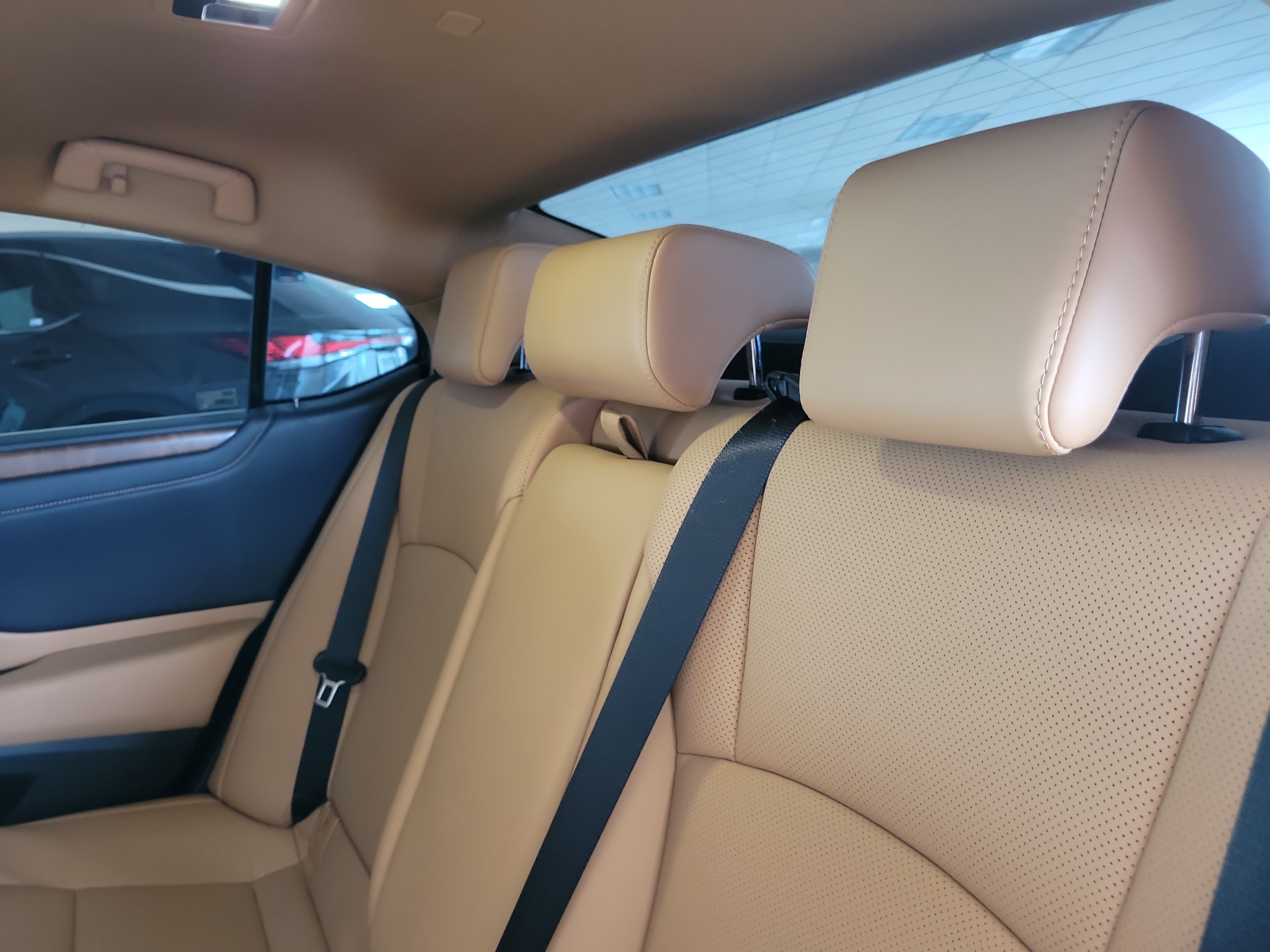 Used 2024 Lexus ES 250 w/ Premium Package AWD/4WD image 14