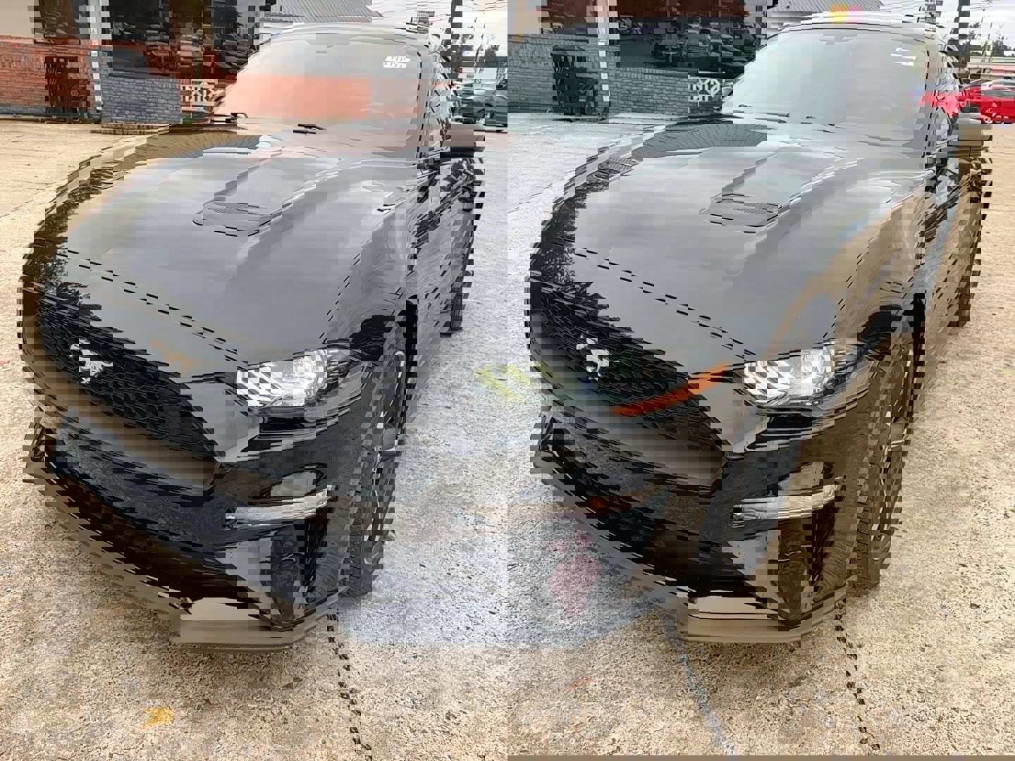 Used 2019 Ford Mustang Coupe