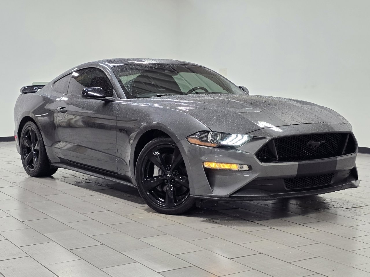 Used 2023 Ford Mustang GT w/ Mustang Nite Pony Package RWD image 2