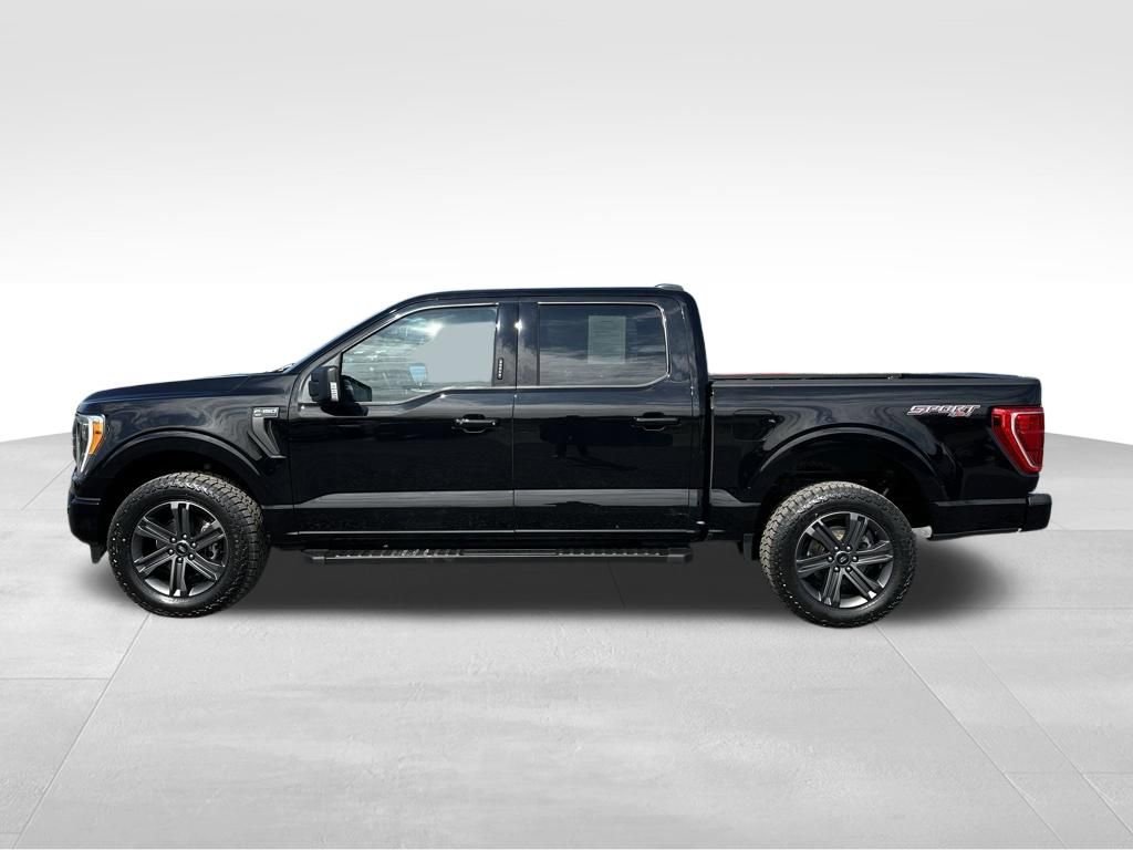 Used 2023 Ford F150 XLT w/ Equipment Group 302A High image 5