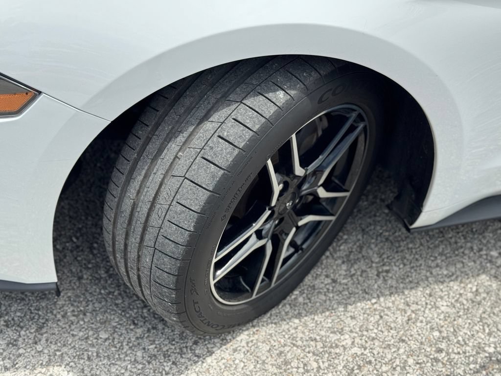 Used 2019 Ford Mustang GT Premium RWD image 42