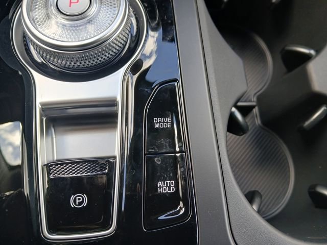 New 2026 Kia Carnival SX Prestige image 24