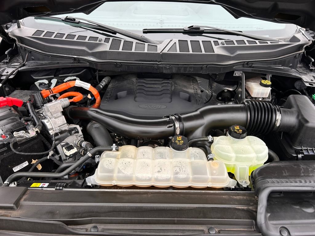 Used 2023 Ford F150 XLT w/ Equipment Group 302A High image 9