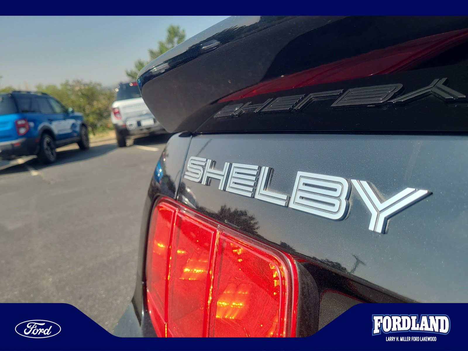 Used 2008 Ford Mustang Shelby GT500 RWD image 24
