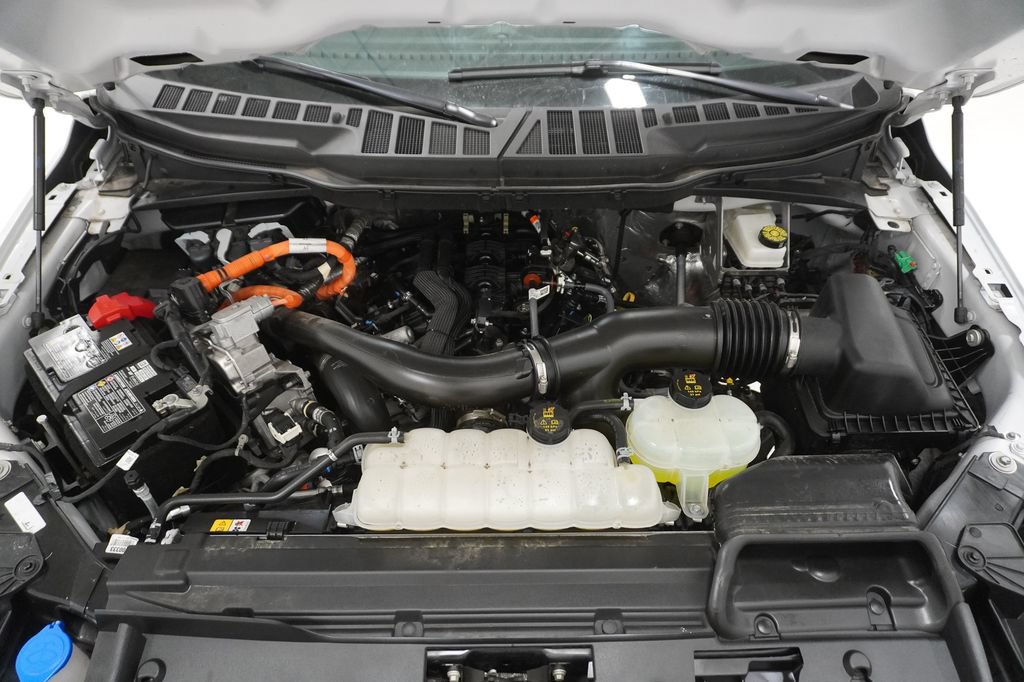 Used 2025 Ford F150 XLT w/ Equipment Group 301A Standard AWD/4WD image 6