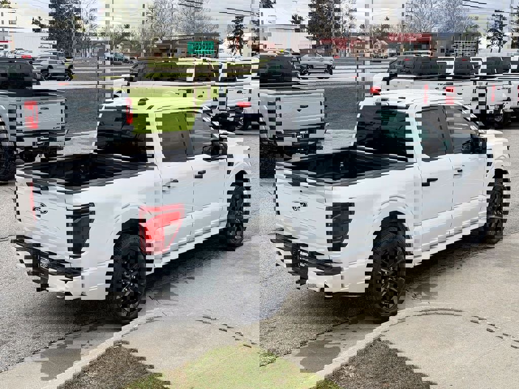 New 2025 Ford F150 STX w/ LOBO Package image 6
