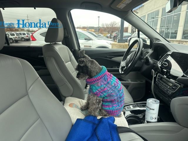 Used 2019 Honda Pilot Touring image 14