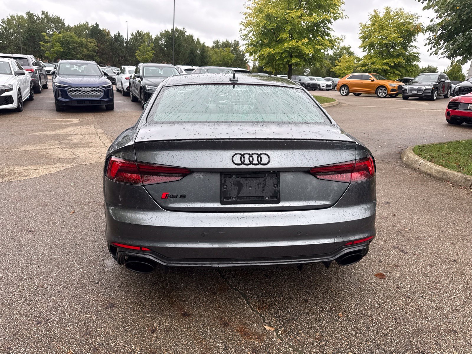 Used 2019 Audi RS 5 w/ Black Optic Carbon Package AWD/4WD image 4