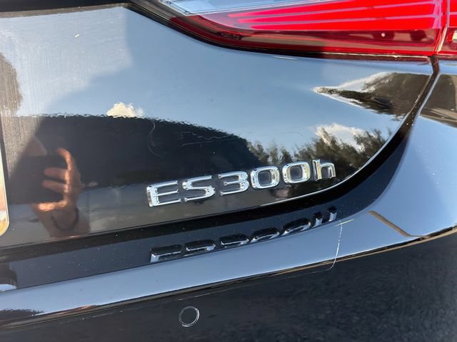 Used 2024 Lexus ES 300h F Sport w/ Accessory Package (Z2) FWD image 11