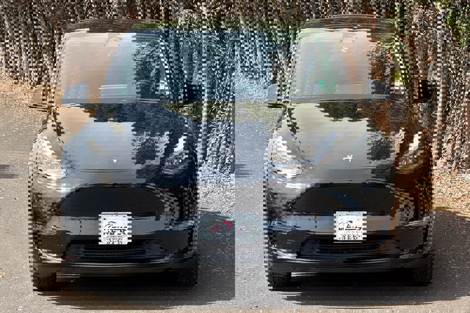 Used 2023 Tesla Model Y Performance image 9