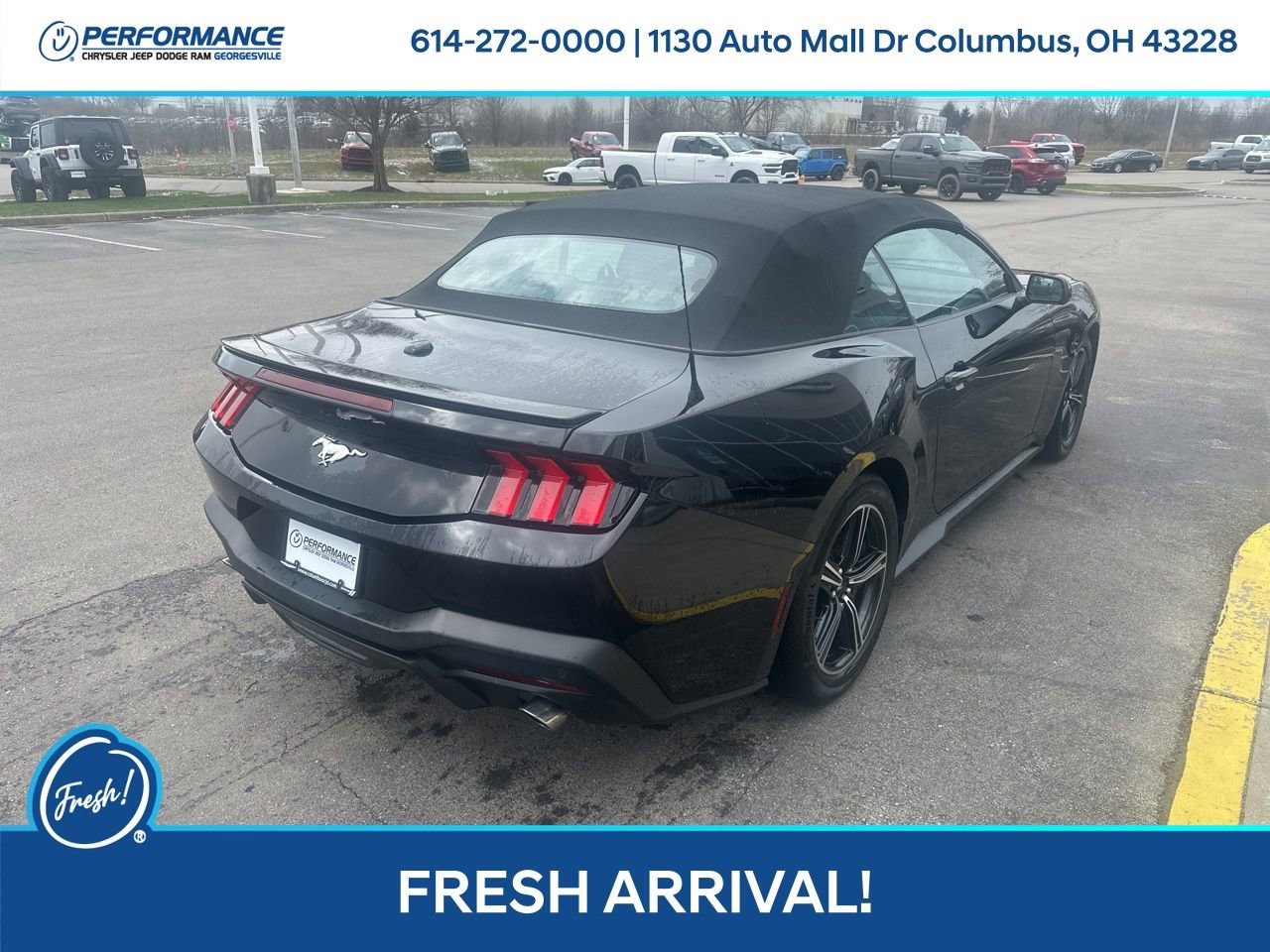 Used 2024 Ford Mustang Premium image 4