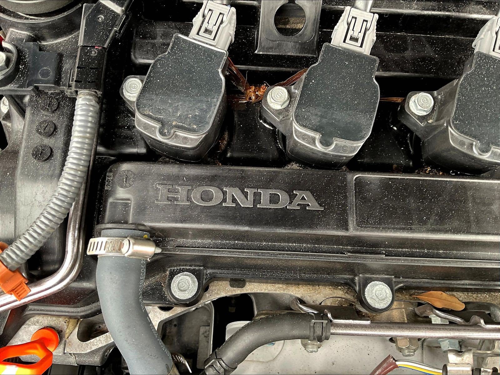 Used 2023 Honda Accord EX image 31