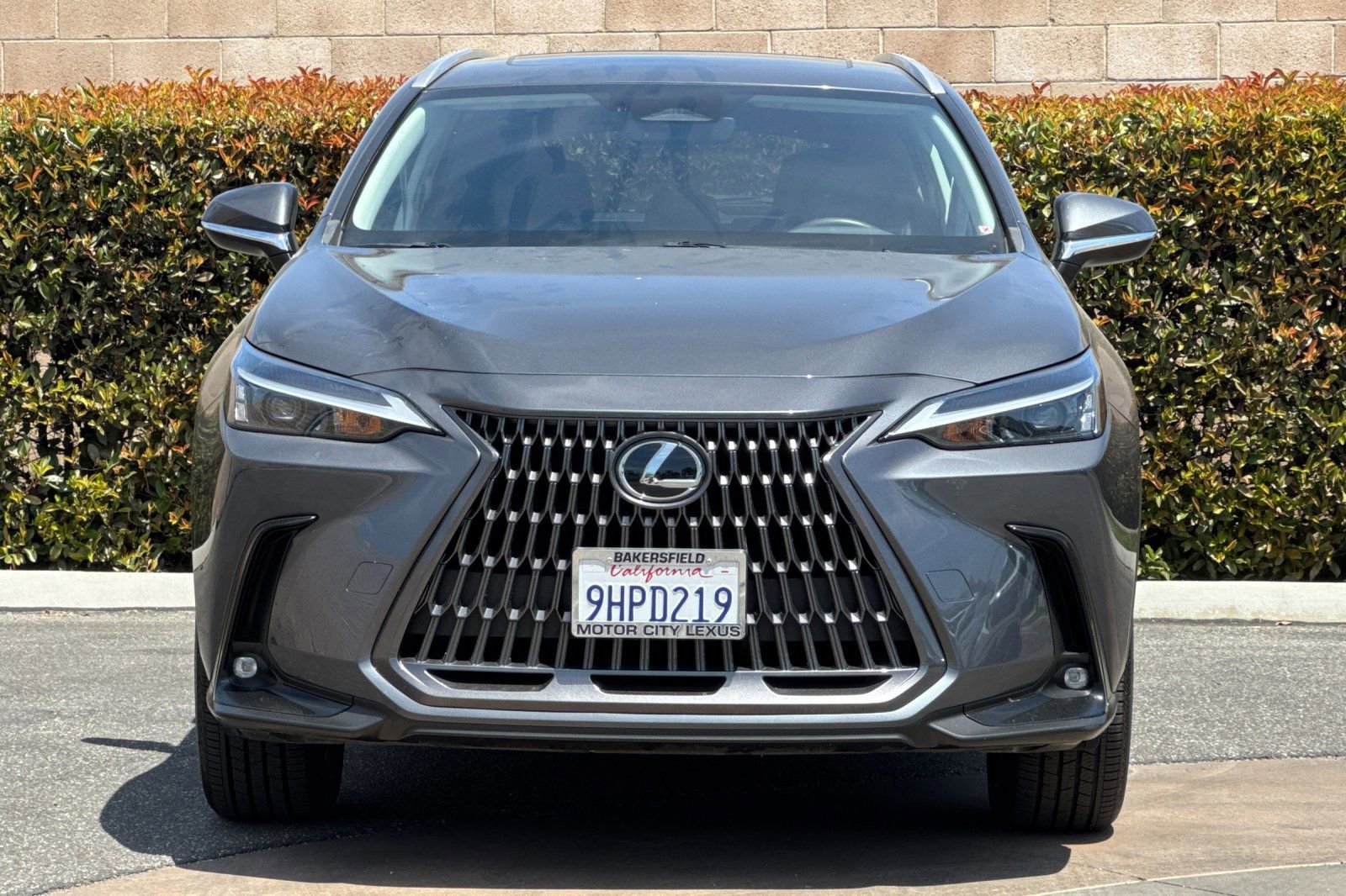 Certified 2024 Lexus NX 350h AWD w/ Cold Area Package image 10