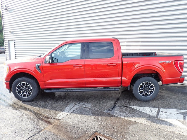 Used 2023 Ford F150 XLT w/ Equipment Group 302A High AWD/4WD image 2