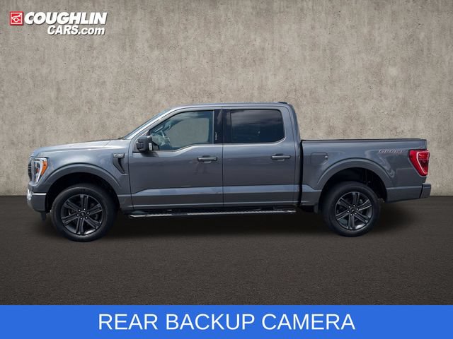 Used 2023 Ford F150 XLT w/ Equipment Group 302A High AWD/4WD image 5