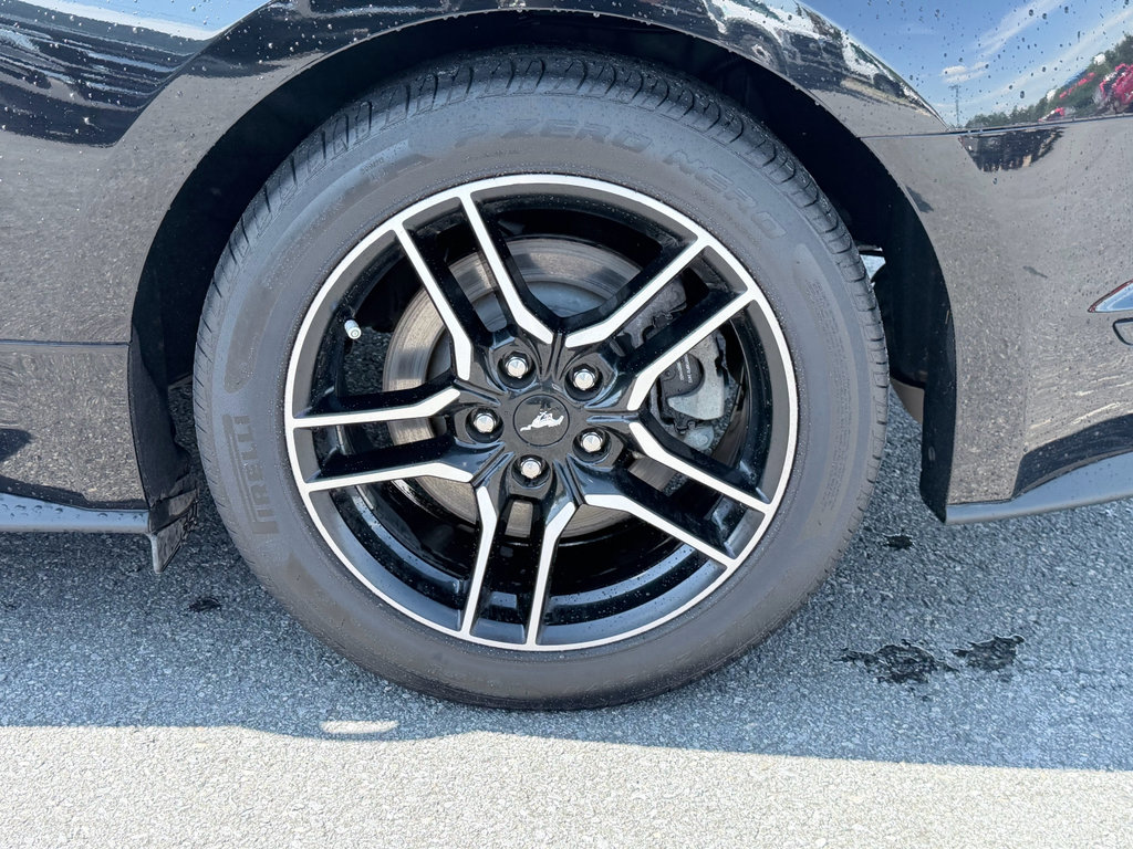 Used 2021 Ford Mustang GT RWD image 11