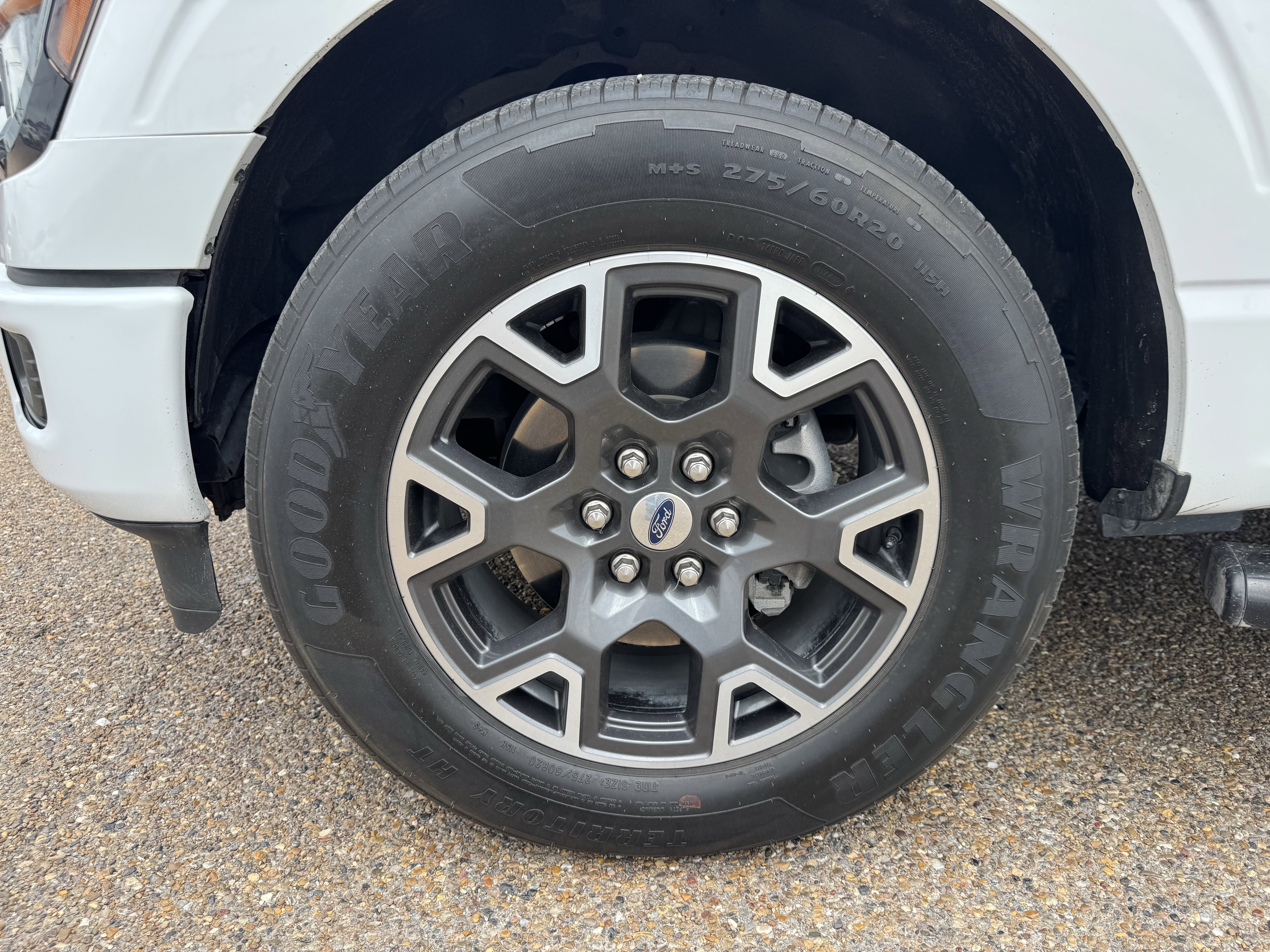 Used 2024 Ford F150 STX RWD image 7