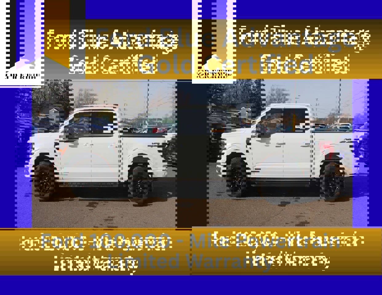 Certified 2025 Ford F150 XLT w/ Equipment Group 302A MID image 1