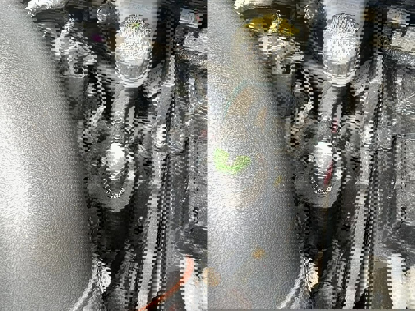 Used 2017 Ford Focus RS image 29