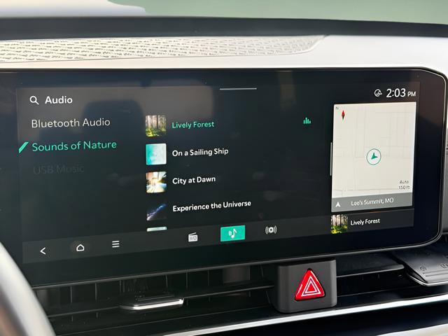 Used 2025 Kia Carnival image 24